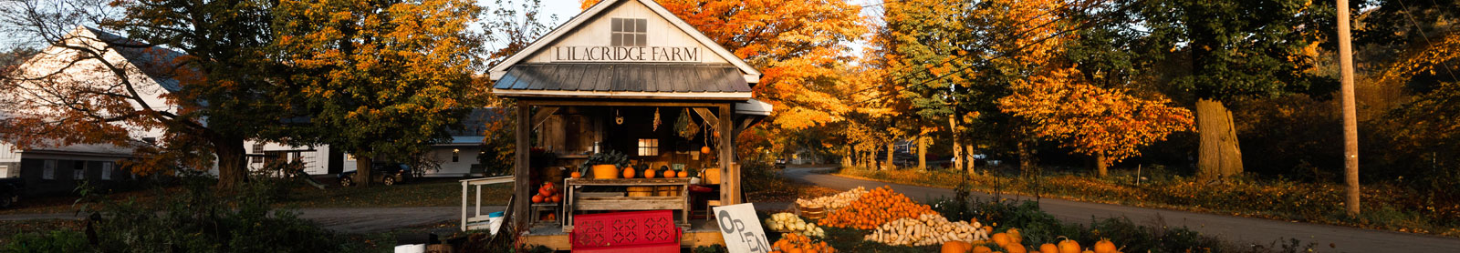 Fall landscape photo with Lilac Ridge farmstand with pumpkins out front