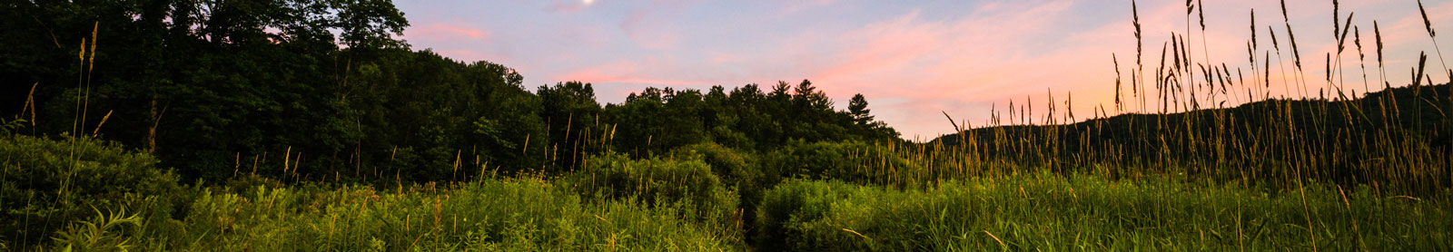 landscape photo of picturesque field with purplish pink sky at dusk