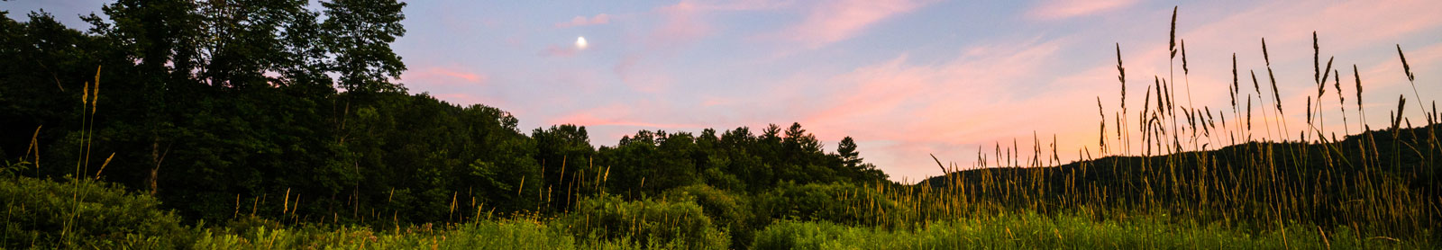 landscape photo near dusk sky appears pink and light blue with tree outline and grassy field