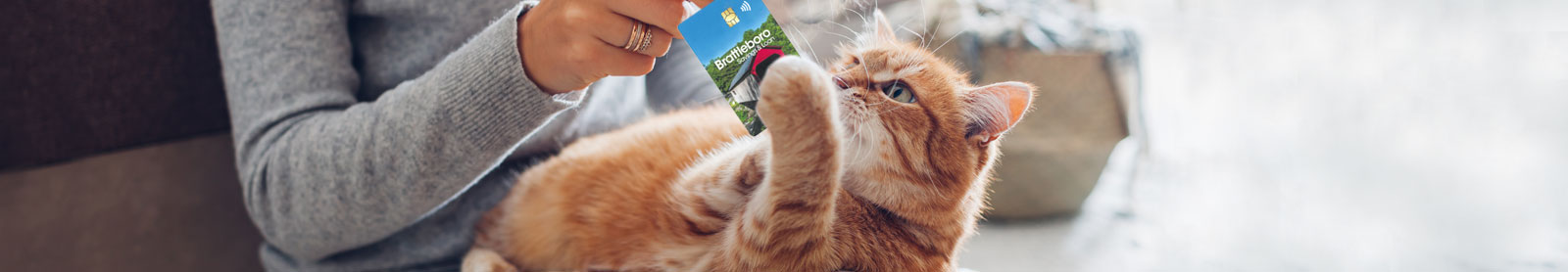 Cropped photo of cat in woman's lap, cat is holding a BS&L debit card in it's paw