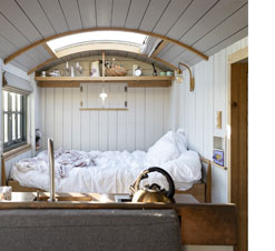 Interior photo of a tiny home with white paneled wooden walls and ceiling