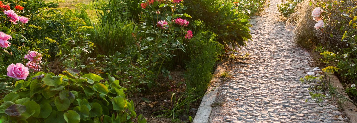 Beautiful summer garden with stone path