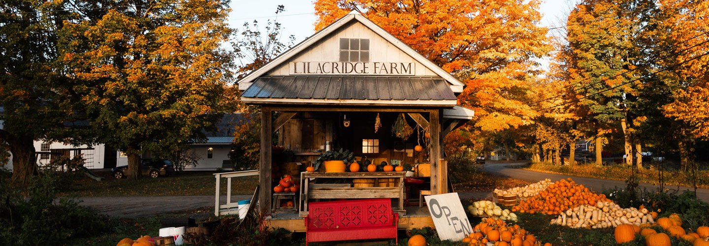 Lilac Ridge farmstand landscape photo with pumpkins and fall foliage
